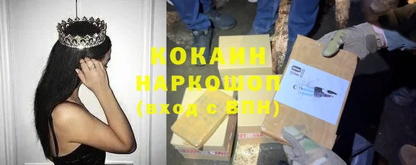 гашик Алзамай