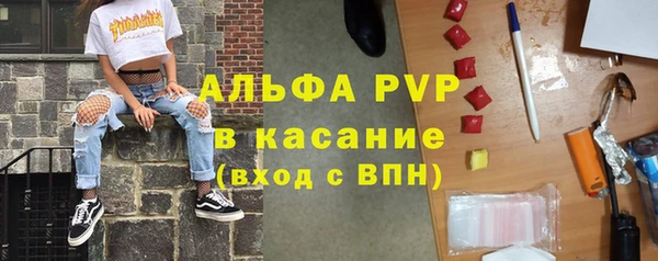 гашик Алзамай